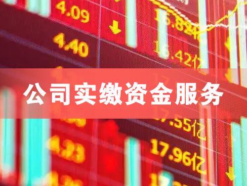 连云港公司实缴资金服务