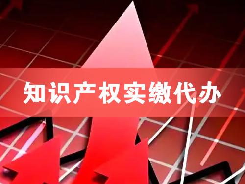 连云港知识产权实缴资本代办